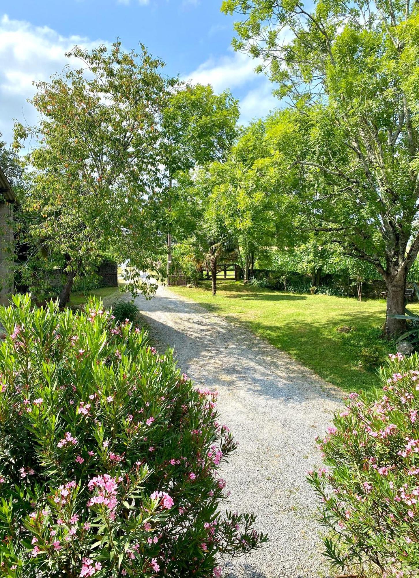 Maison D'Hotes-Maison Castaings Lucq-de-Bearn ภายนอก รูปภาพ